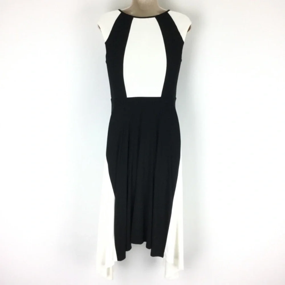 Ann Taylor Gorgeous Swingy Dress EUC